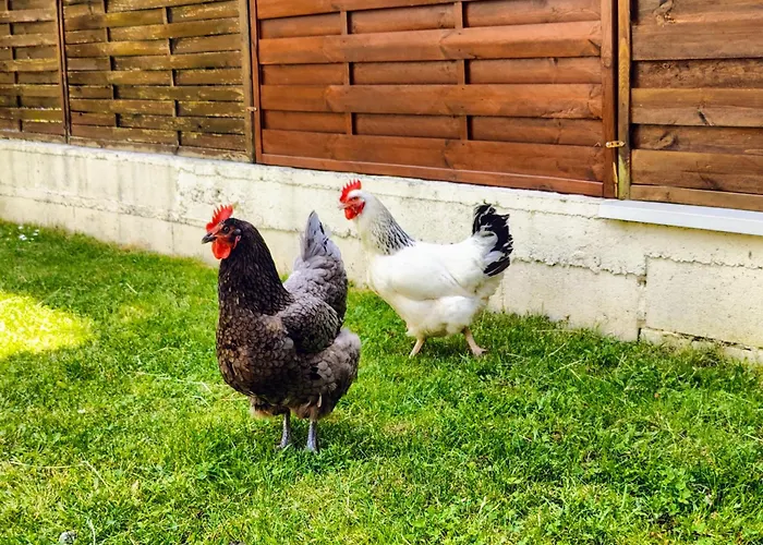 Maison 190M2 - Entre Paris Et Disneyland